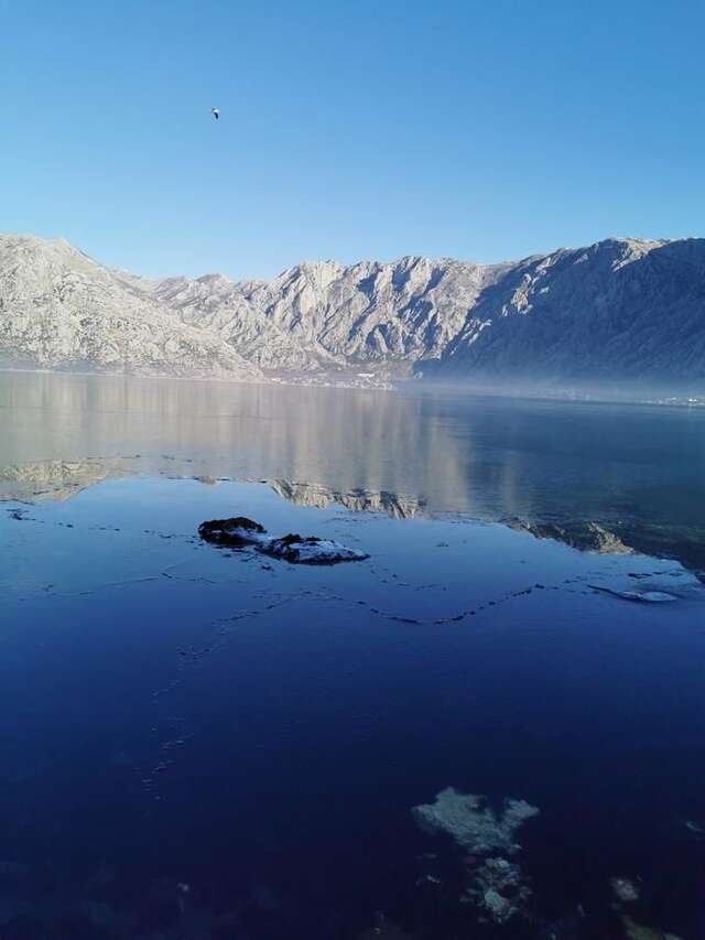 Апартаменты Apartments Popovic Котор-36