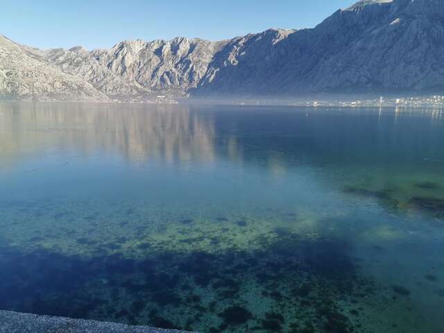 Апартаменты Apartments Popovic Котор-37